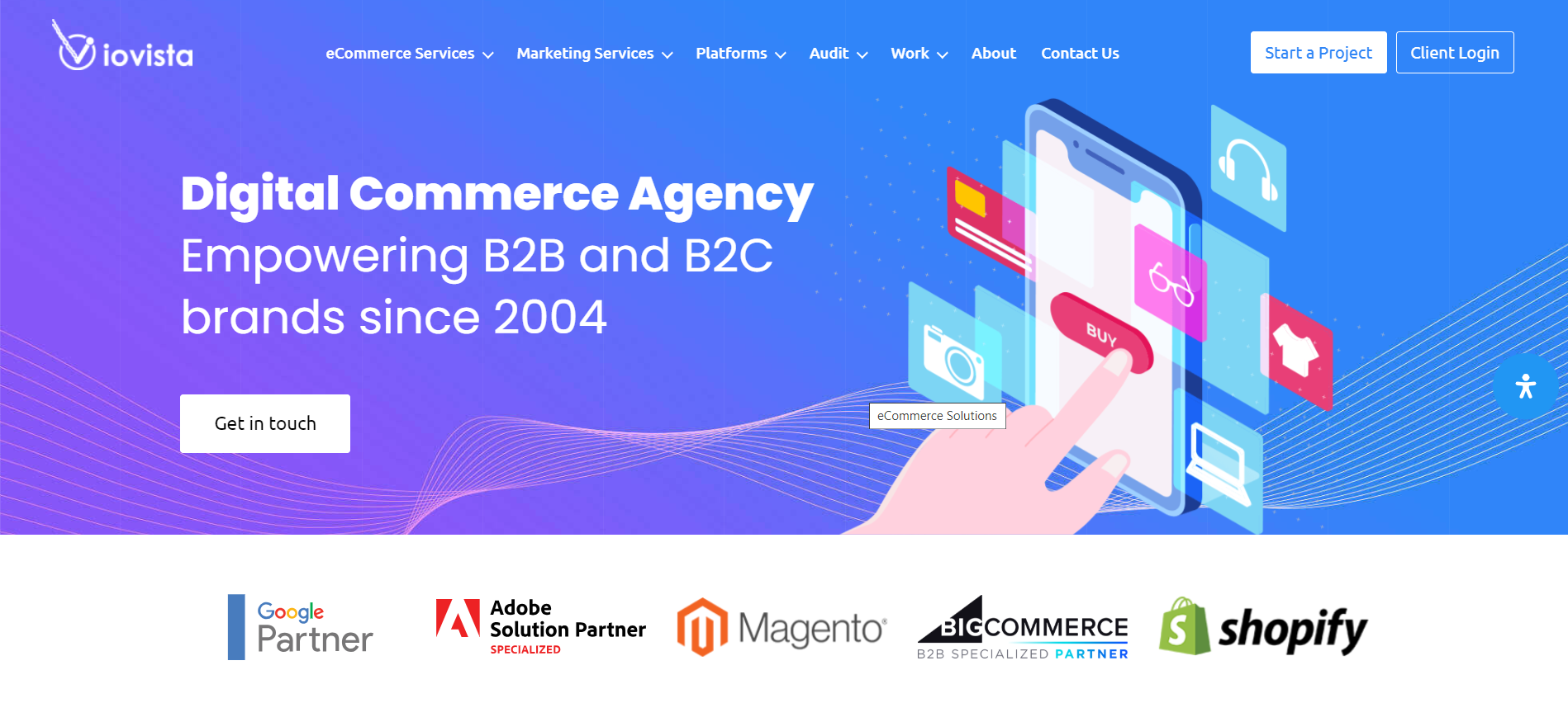 ioVista Inc Freelance Digital Marketing 